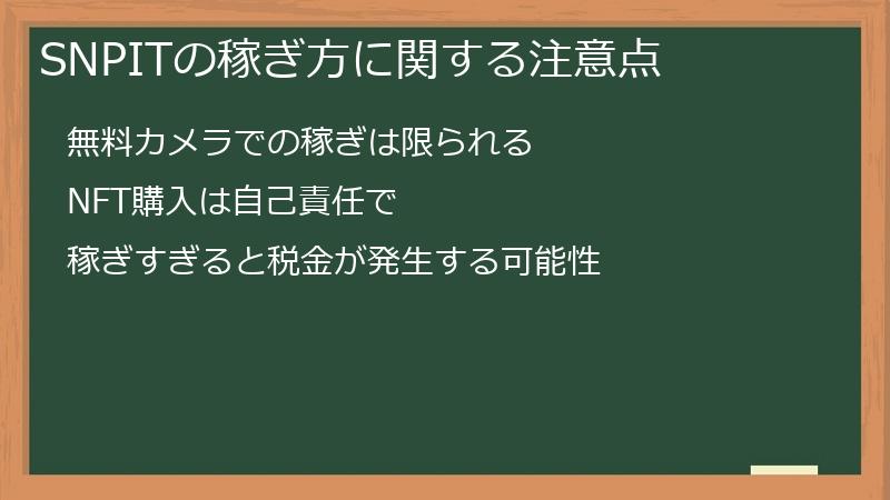 SNPITの稼ぎ方に関する注意点