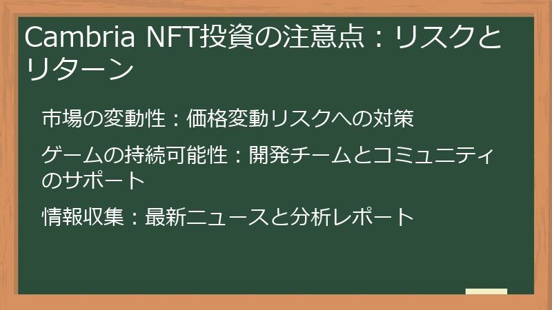 Cambria NFT投資の注意点：リスクとリターン