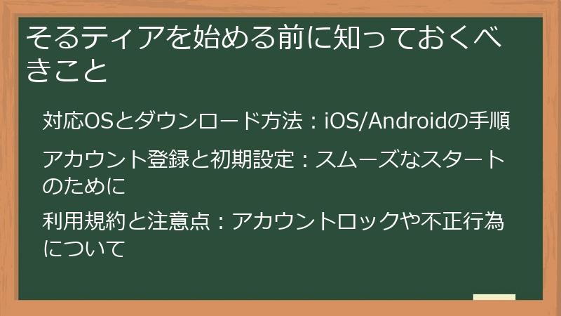 そるティアを始める前に知っておくべきこと