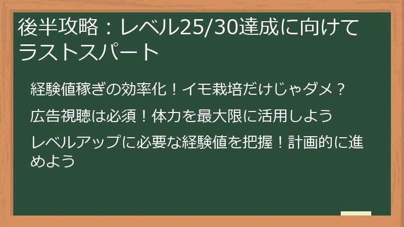 後半攻略：レベル25/30達成に向けてラストスパート