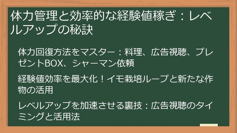 体力管理と効率的な経験値稼ぎ：レベルアップの秘訣