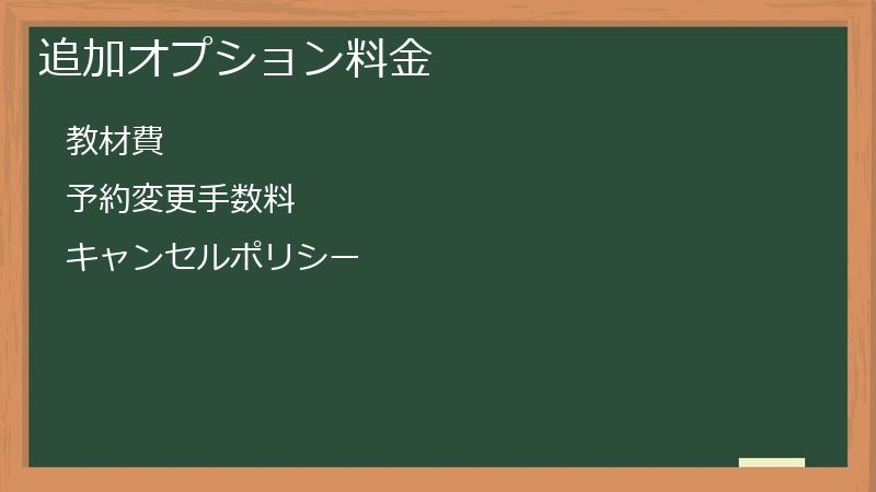 追加オプション料金