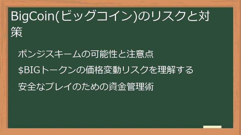 BigCoin(ビッグコイン)のリスクと対策