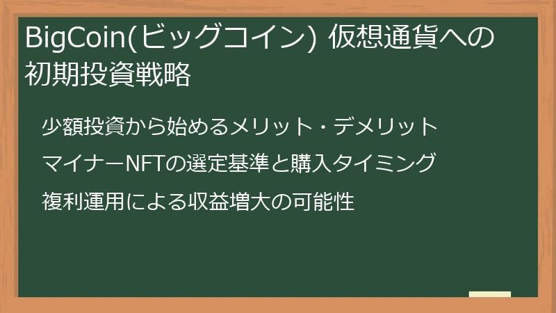 BigCoin(ビッグコイン) 仮想通貨への初期投資戦略