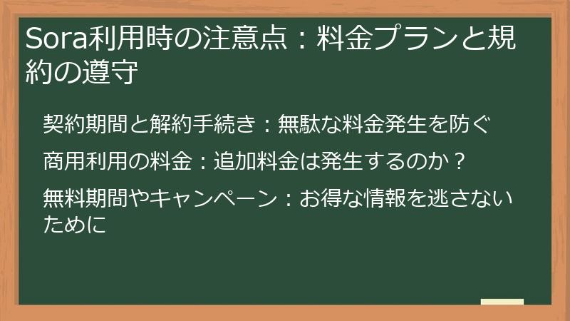 Sora利用時の注意点：料金プランと規約の遵守
