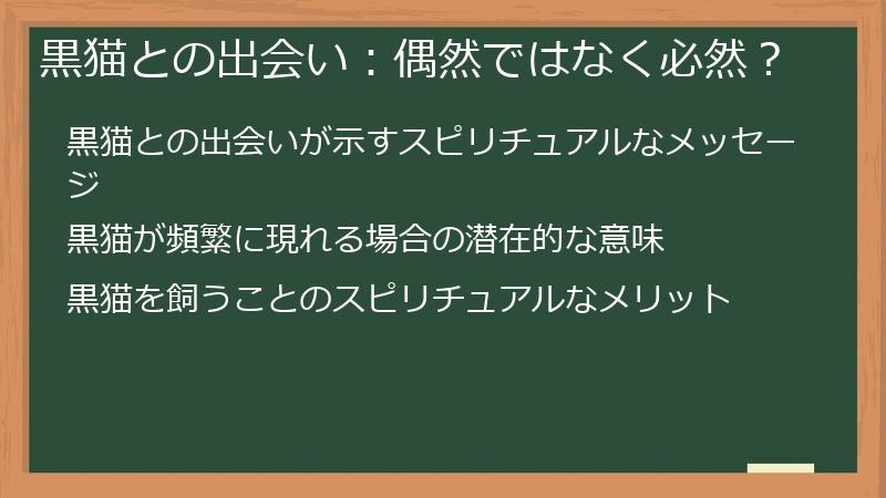 黒猫との出会い：偶然ではなく必然？