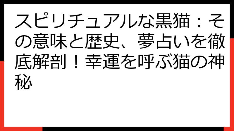 スピリチュアルな黒猫：その意味と歴史、夢占いを徹底解剖！幸運を呼ぶ猫の神秘