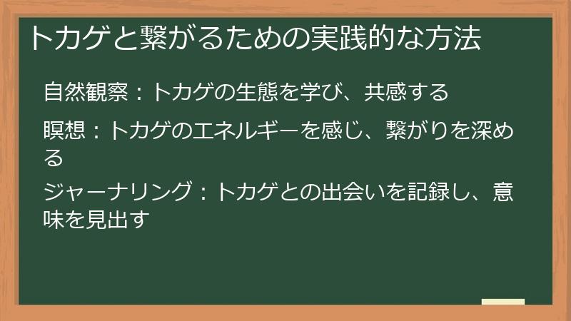 トカゲと繋がるための実践的な方法