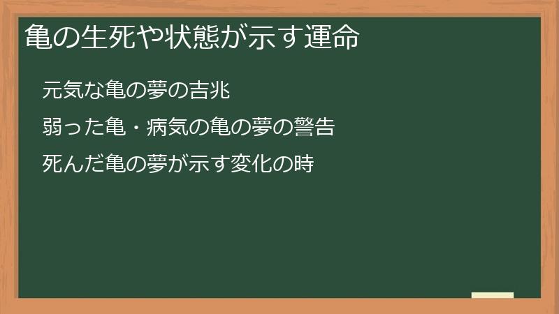 亀の生死や状態が示す運命