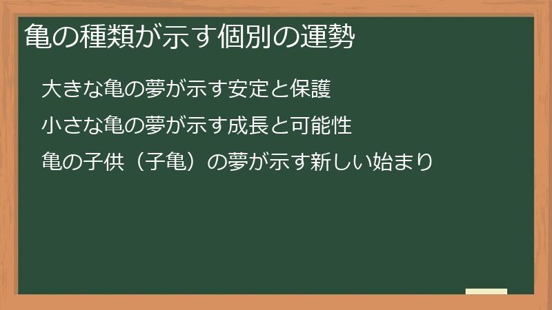 亀の種類が示す個別の運勢