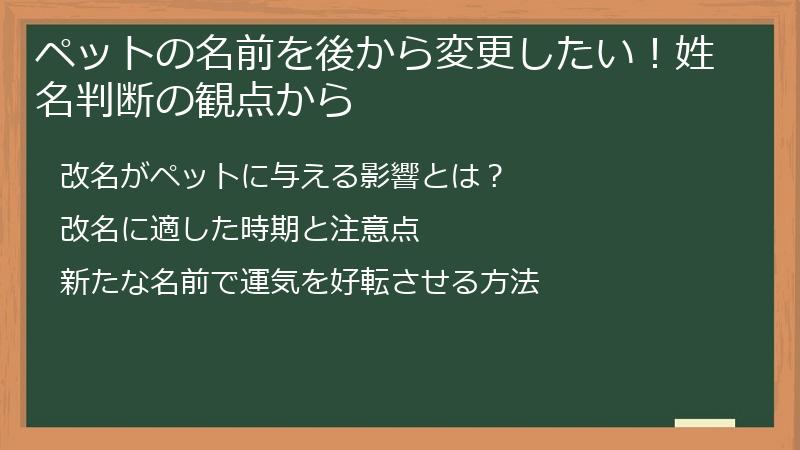 ペットの名前を後から変更したい!姓名判断の観点から