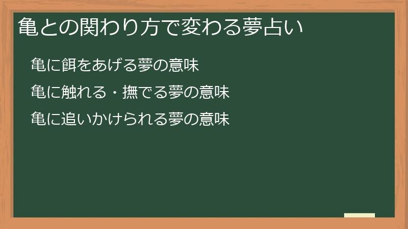 亀との関わり方で変わる夢占い