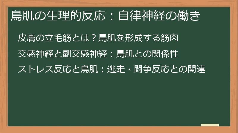 鳥肌の生理的反応：自律神経の働き