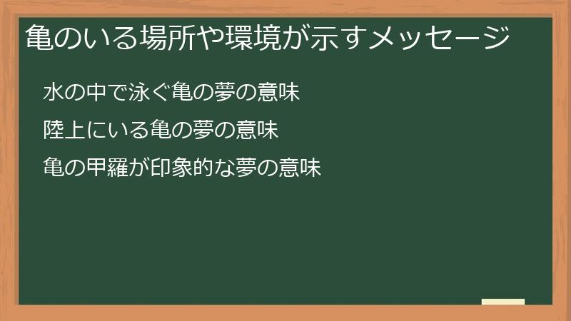 亀のいる場所や環境が示すメッセージ