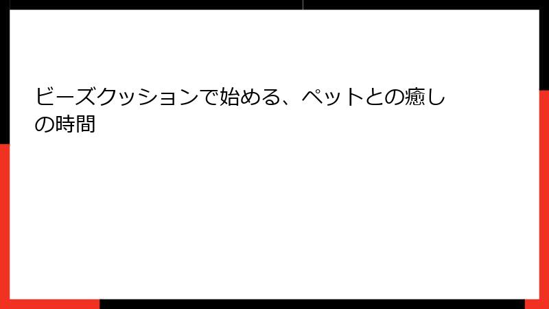 ビーズクッションで始める、ペットとの癒しの時間
