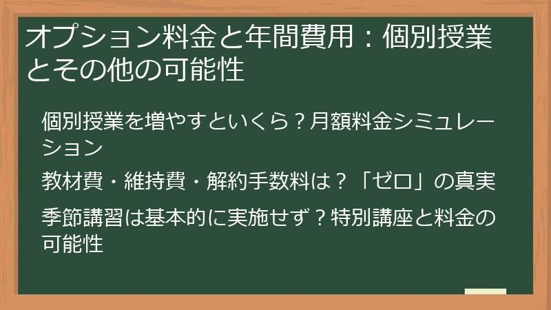 オプション料金と年間費用：個別授業とその他の可能性