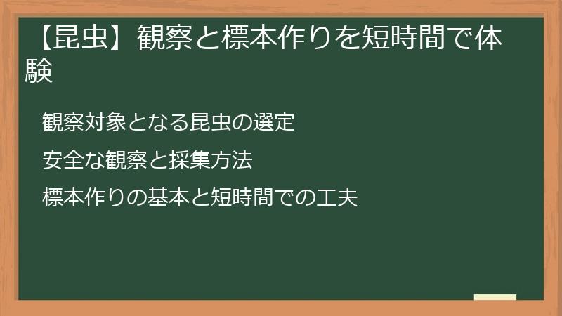 【昆虫】観察と標本作りを短時間で体験