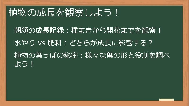 植物の成長を観察しよう！