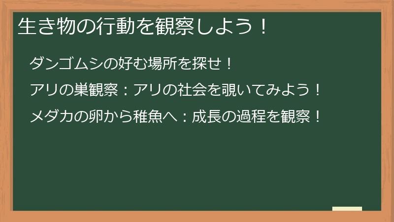 生き物の行動を観察しよう！