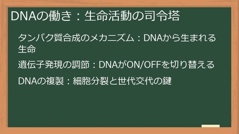 DNAの働き：生命活動の司令塔