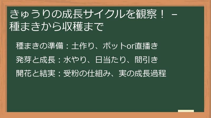 きゅうりの成長サイクルを観察！ – 種まきから収穫まで