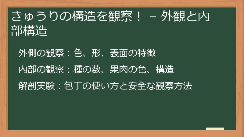 きゅうりの構造を観察！ – 外観と内部構造
