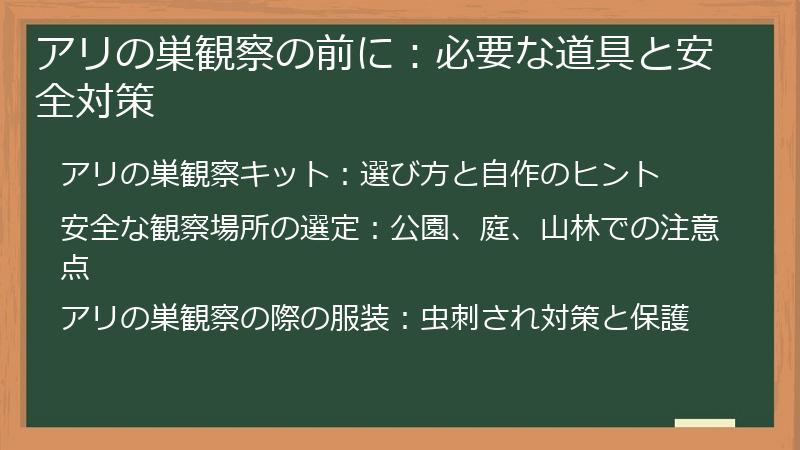 アリの巣観察の前に：必要な道具と安全対策