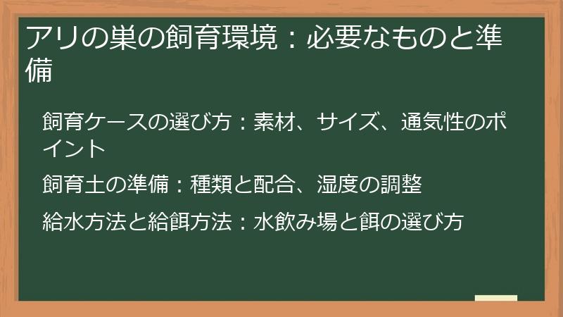 アリの巣の飼育環境：必要なものと準備