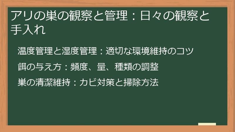 アリの巣の観察と管理：日々の観察と手入れ