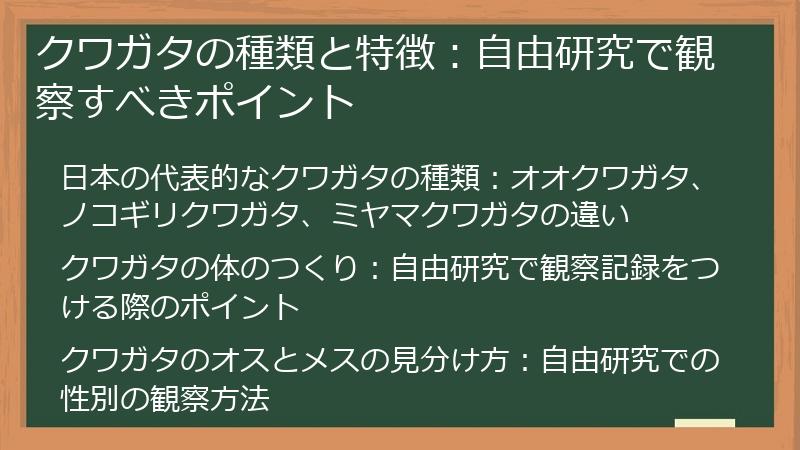 クワガタの種類と特徴：自由研究で観察すべきポイント