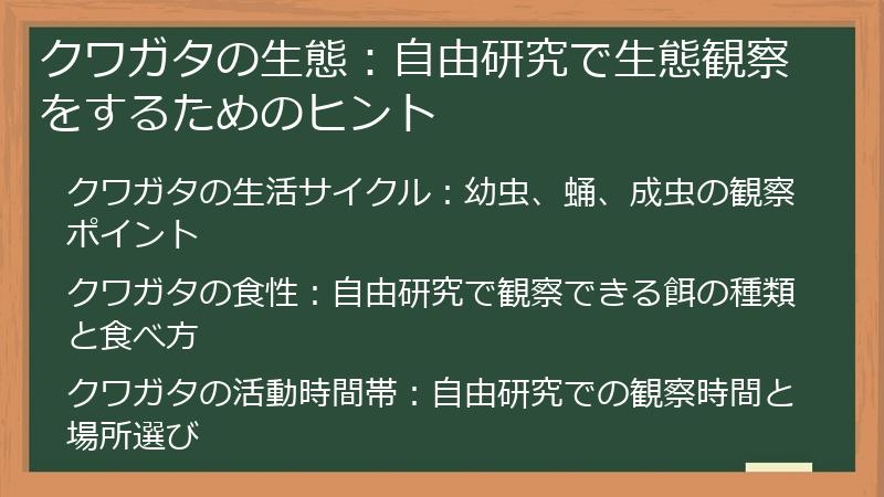 クワガタの生態：自由研究で生態観察をするためのヒント