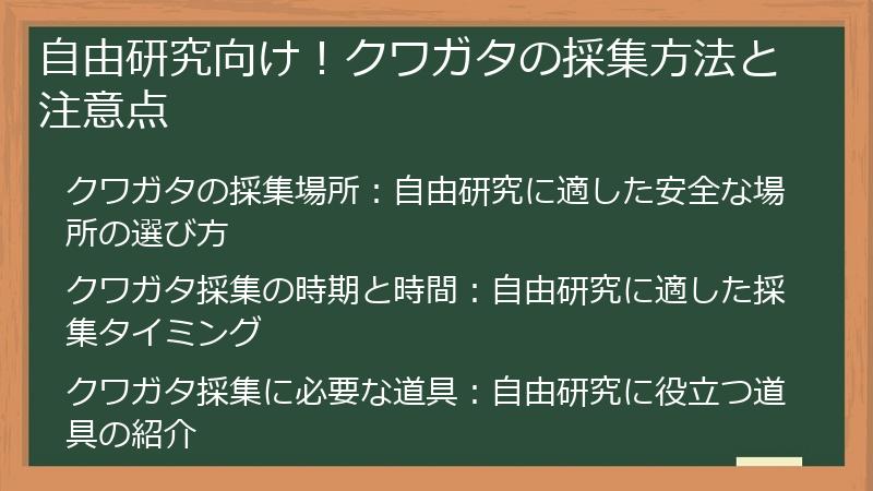 自由研究向け！クワガタの採集方法と注意点