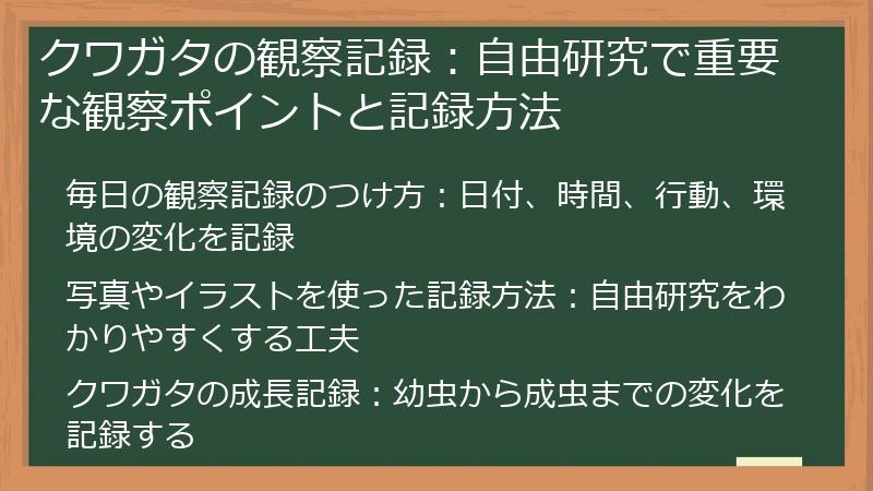 クワガタの観察記録：自由研究で重要な観察ポイントと記録方法