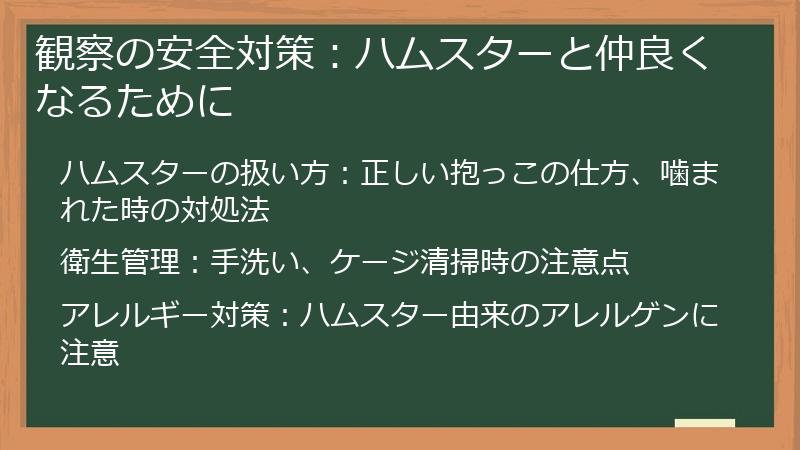 観察の安全対策：ハムスターと仲良くなるために