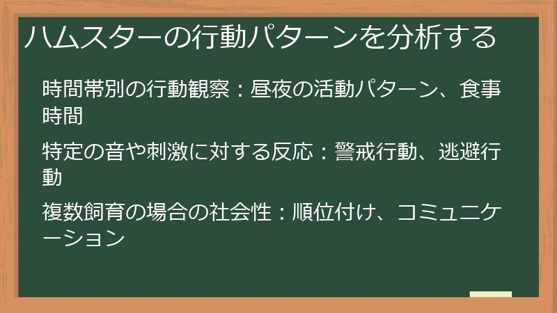 ハムスターの行動パターンを分析する