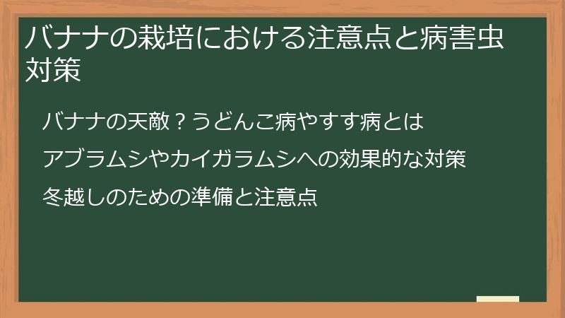 バナナの栽培における注意点と病害虫対策