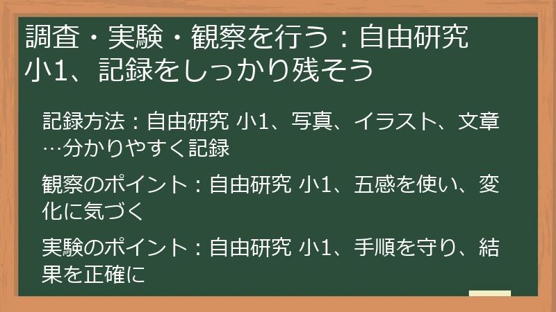 調査・実験・観察を行う：自由研究 小1、記録をしっかり残そう