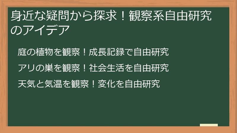 身近な疑問から探求！観察系自由研究のアイデア