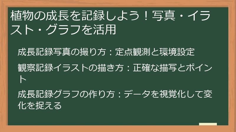 植物の成長を記録しよう！写真・イラスト・グラフを活用