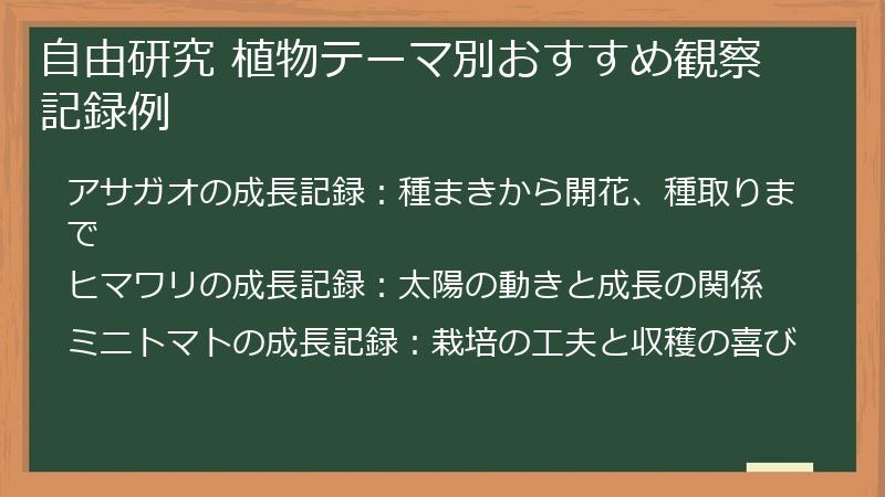 自由研究 植物テーマ別おすすめ観察記録例