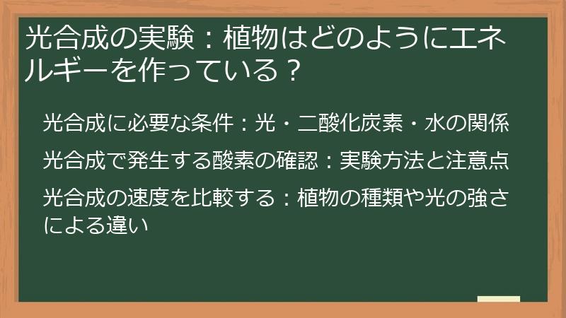 光合成の実験：植物はどのようにエネルギーを作っている？