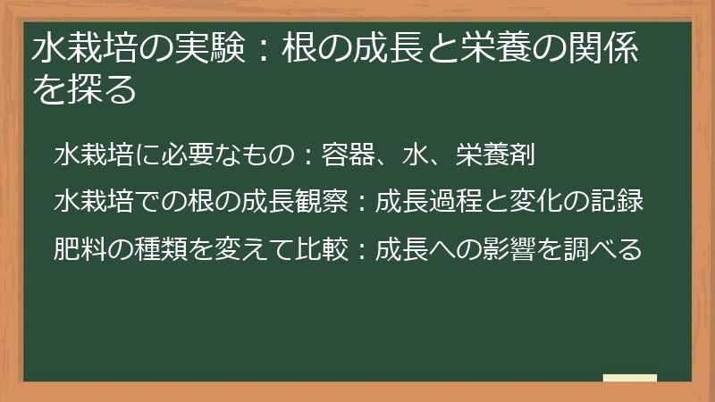 水栽培の実験：根の成長と栄養の関係を探る
