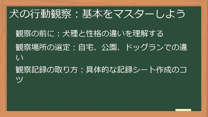 犬の行動観察：基本をマスターしよう