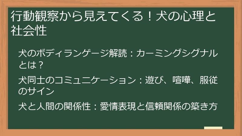 行動観察から見えてくる！犬の心理と社会性