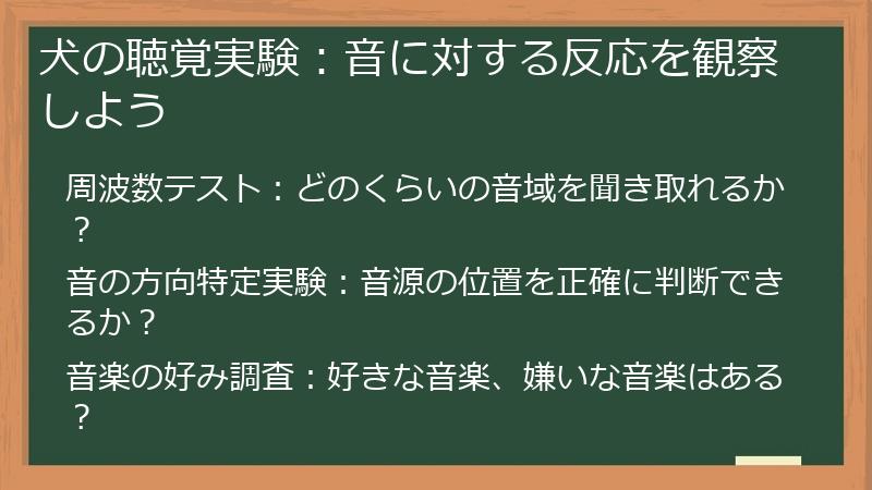 犬の聴覚実験：音に対する反応を観察しよう