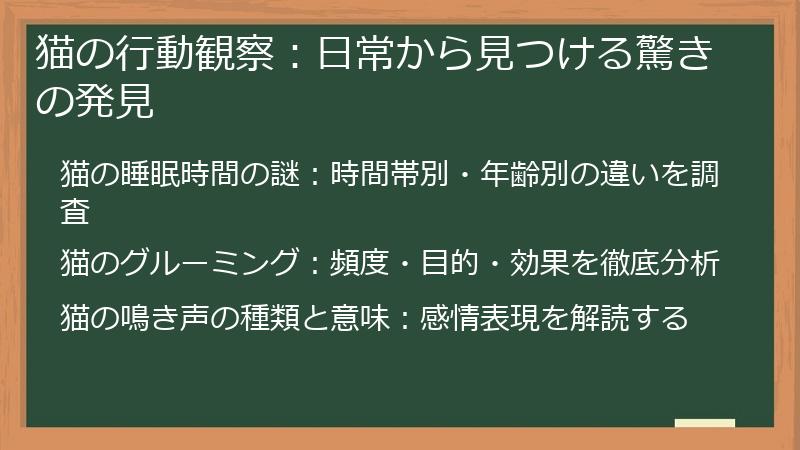 猫の行動観察：日常から見つける驚きの発見