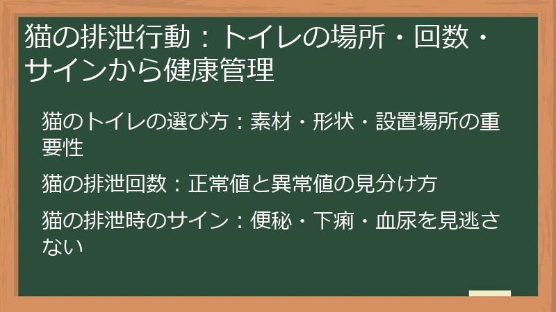 猫の排泄行動：トイレの場所・回数・サインから健康管理