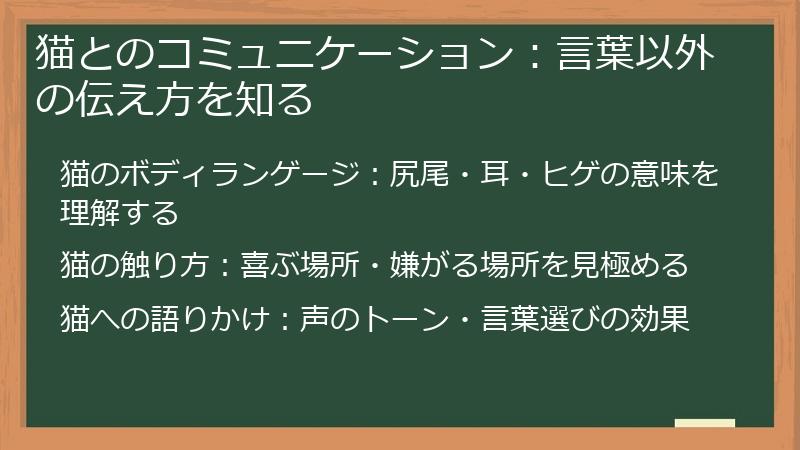 猫とのコミュニケーション：言葉以外の伝え方を知る