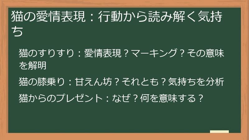猫の愛情表現：行動から読み解く気持ち