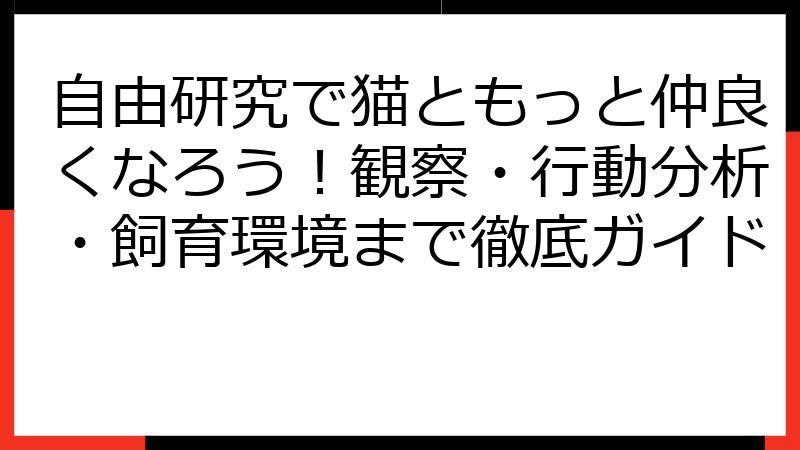 自由研究で猫ともっと仲良くなろう！観察・行動分析・飼育環境まで徹底ガイド